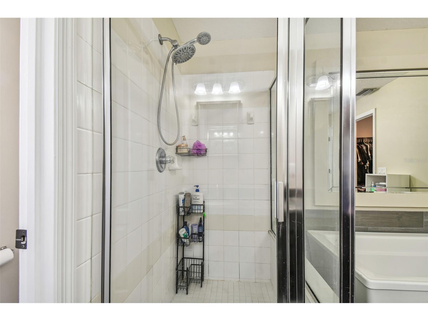 11528 Andy Drive Riverview FL 33569 TB8474616 image34