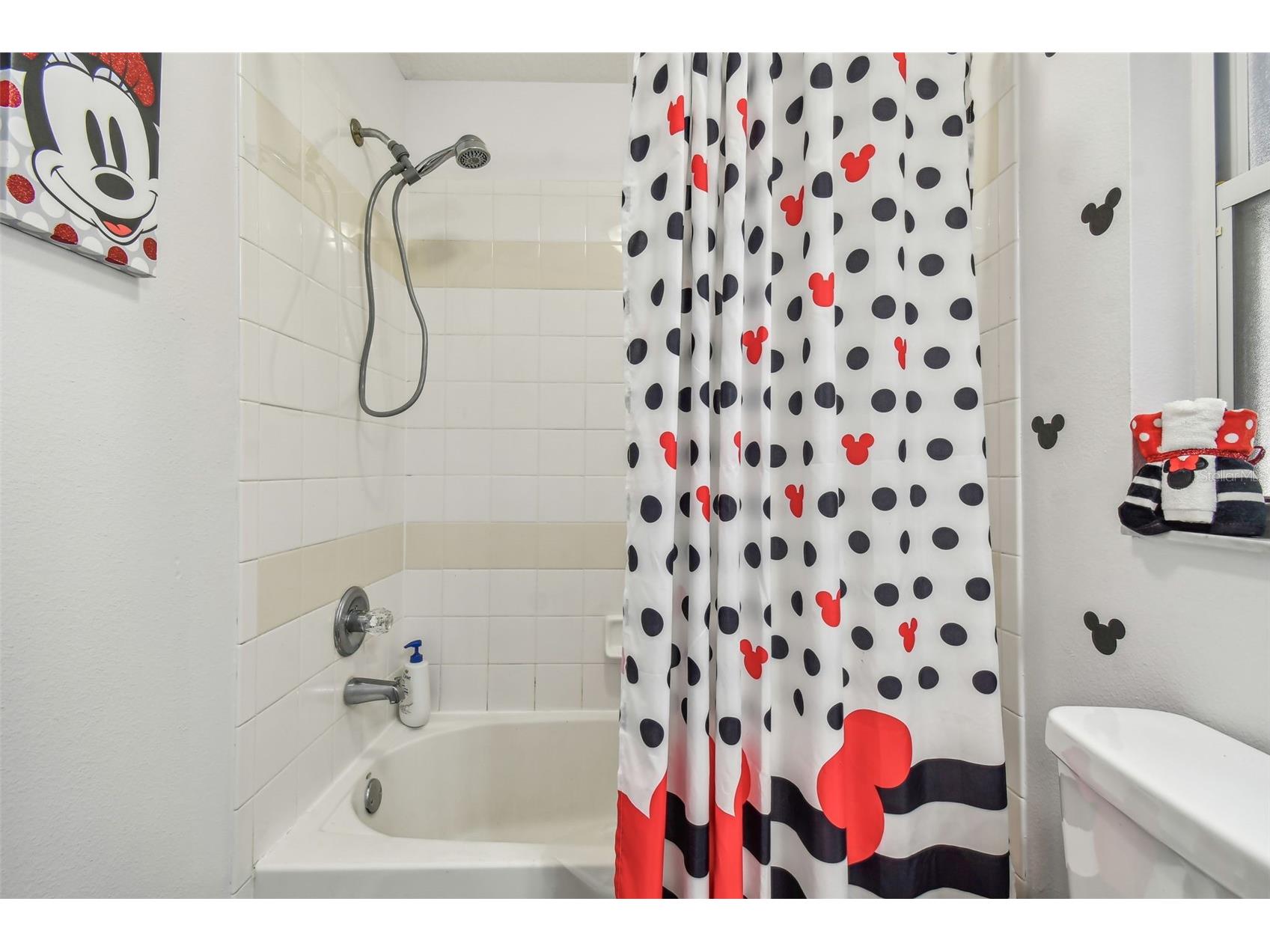 11528 Andy Drive Riverview FL 33569 TB8474616 image45