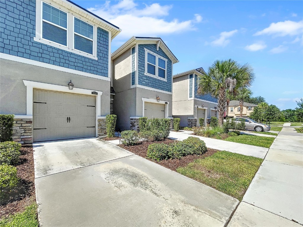 11528 Cambium Crown Drive Riverview FL 33569 T3449952 image1