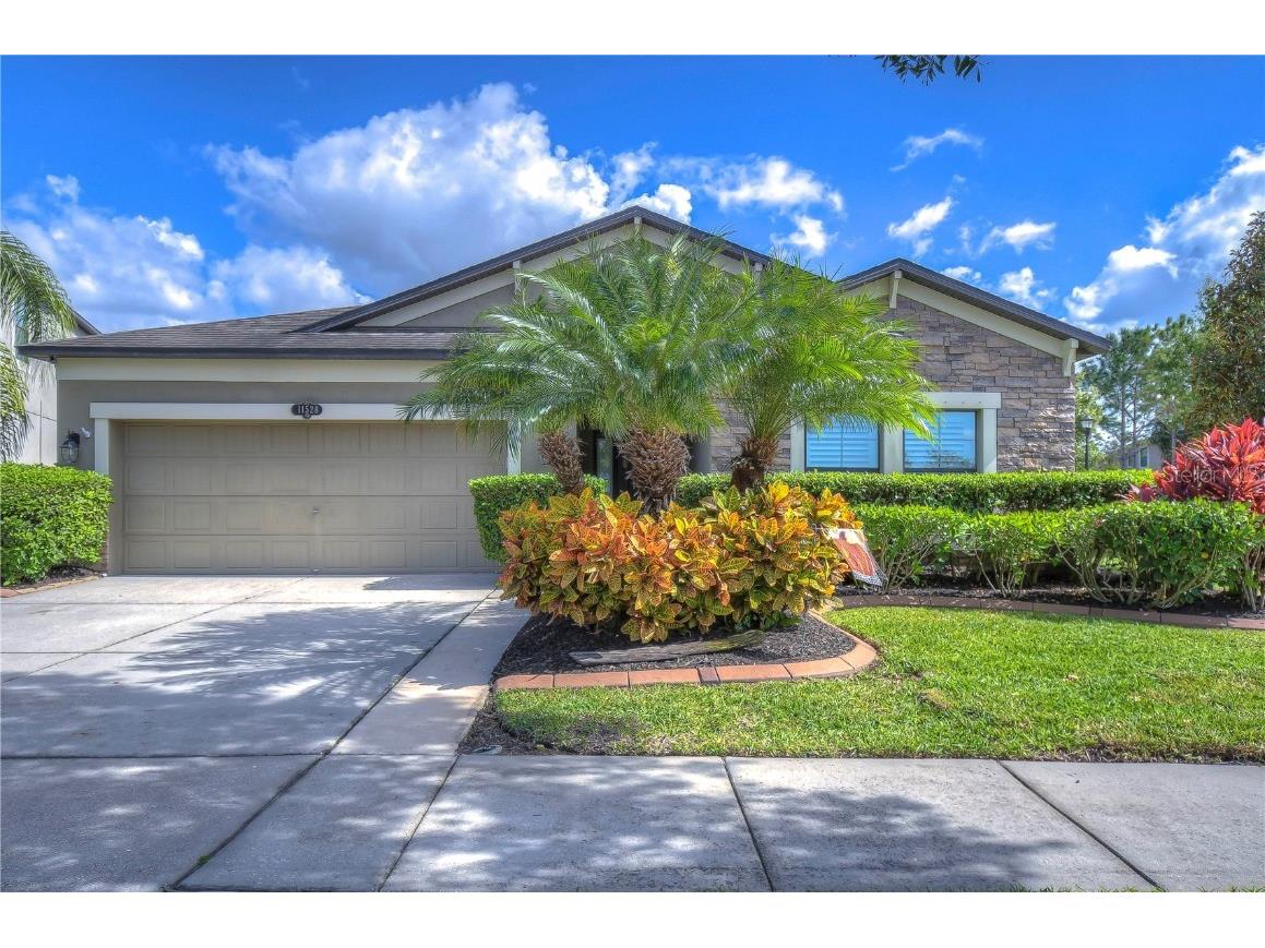 11528 Palmetto Pine Street Riverview FL 33569 T3481915 image1