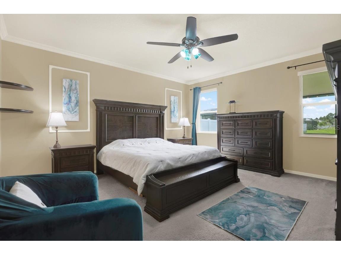 11529 Luckygem Drive Riverview FL 33579 TB8440379 image18