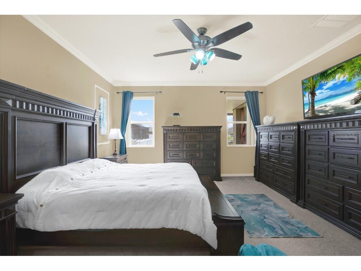 11529 Luckygem Drive Riverview FL 33579 TB8440379 image19