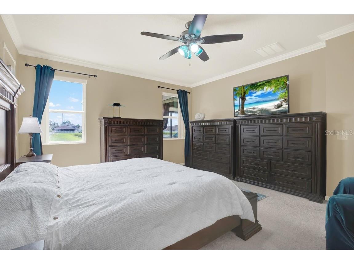 11529 Luckygem Drive Riverview FL 33579 TB8440379 image20