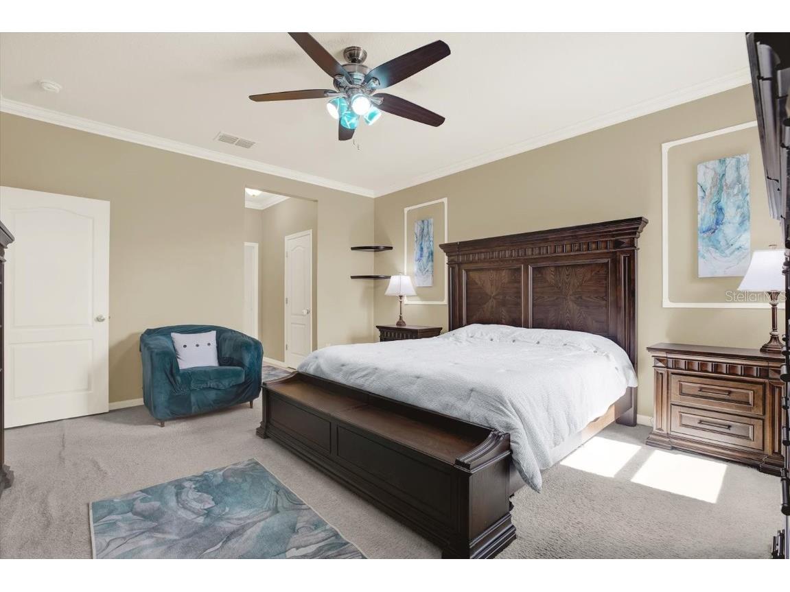 11529 Luckygem Drive Riverview FL 33579 TB8440379 image21