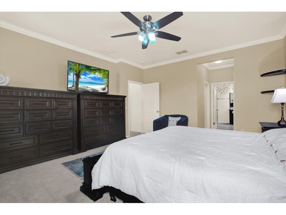 11529 Luckygem Drive Riverview FL 33579 TB8440379 image22