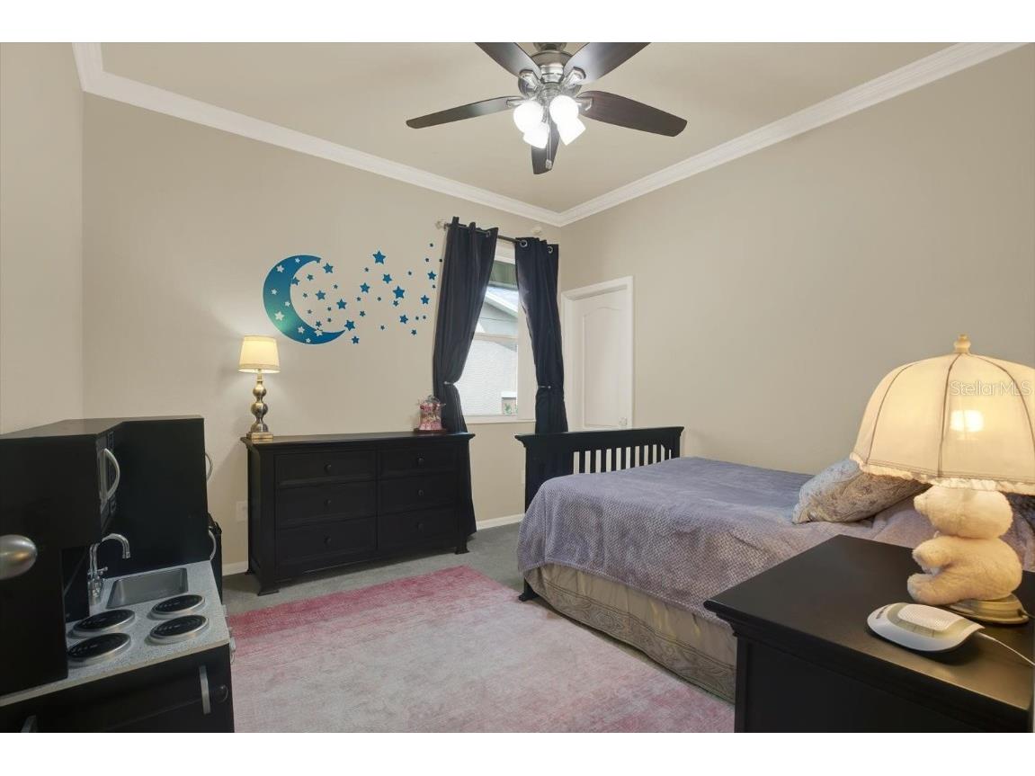 11529 Luckygem Drive Riverview FL 33579 TB8440379 image24