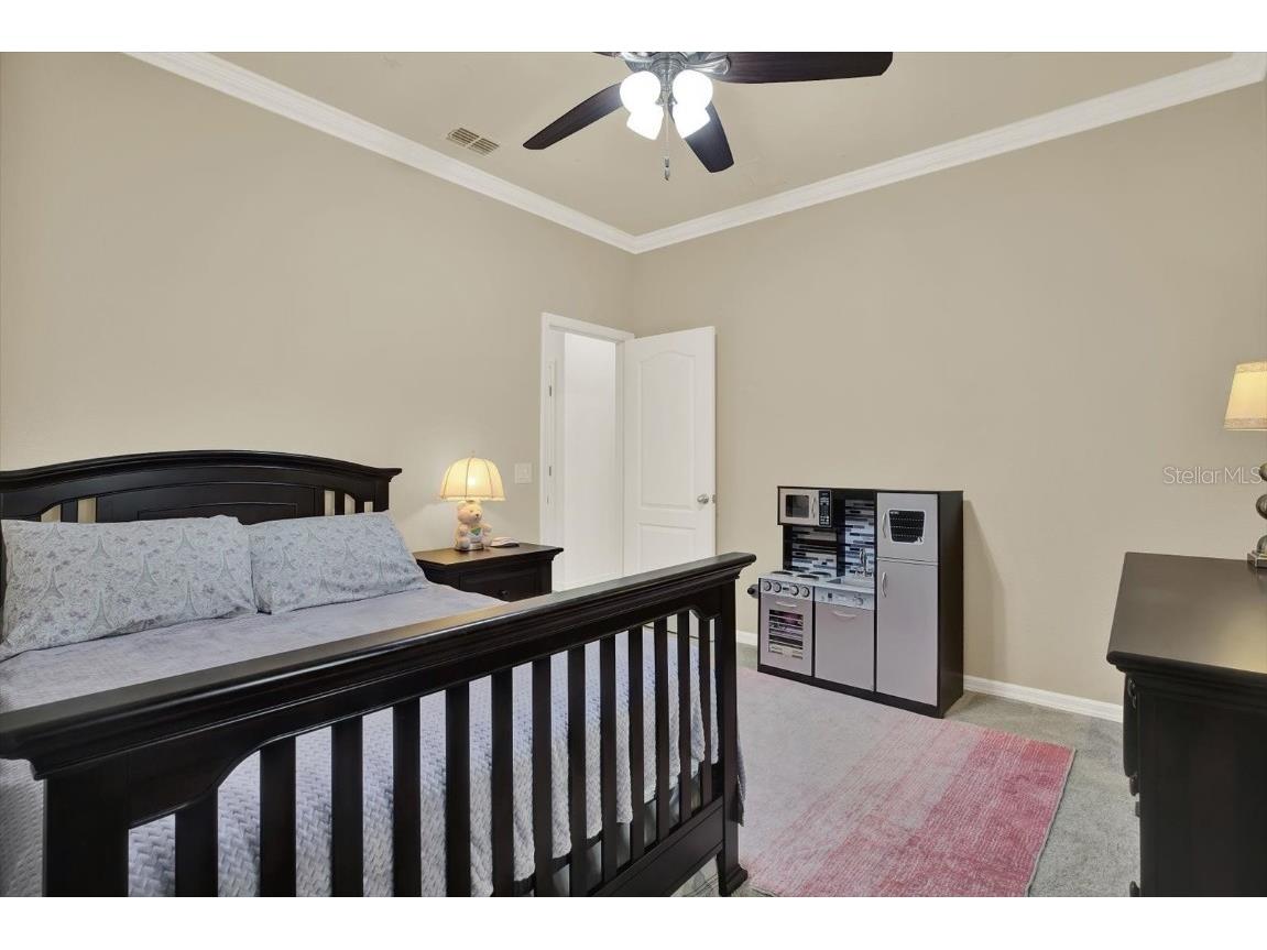 11529 Luckygem Drive Riverview FL 33579 TB8440379 image25