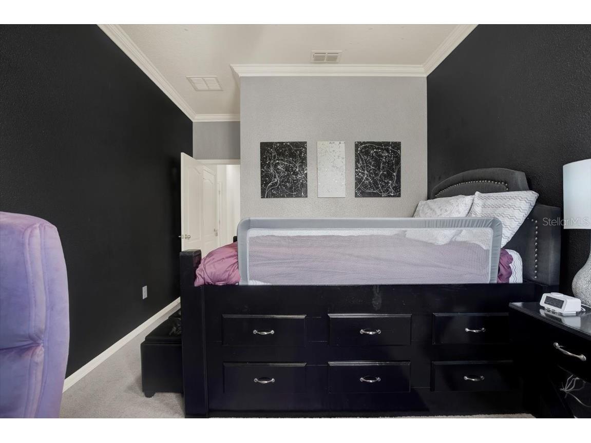 11529 Luckygem Drive Riverview FL 33579 TB8440379 image27