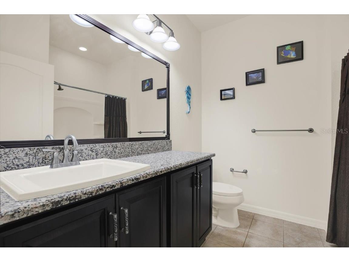 11529 Luckygem Drive Riverview FL 33579 TB8440379 image28