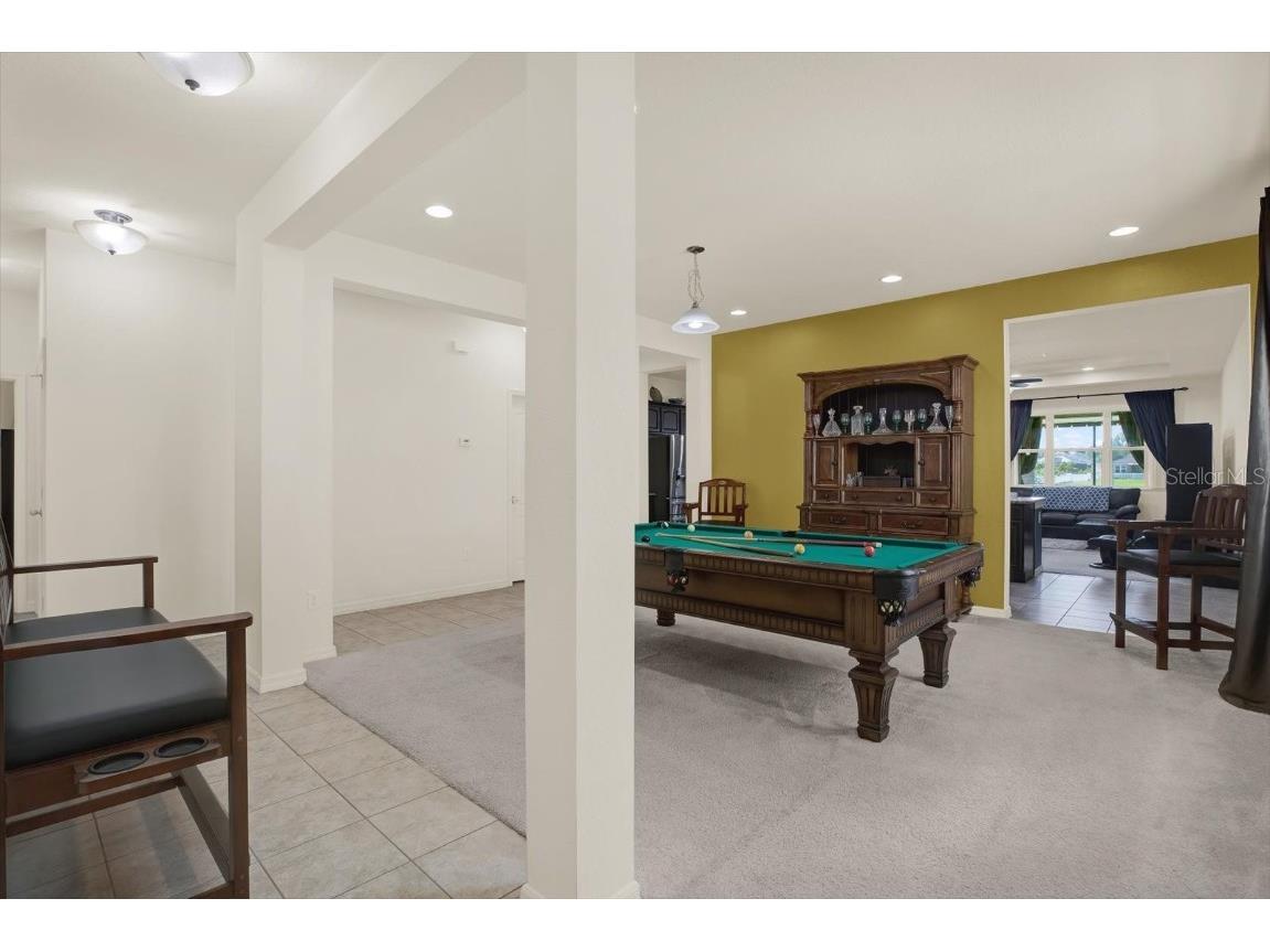 11529 Luckygem Drive Riverview FL 33579 TB8440379 image32