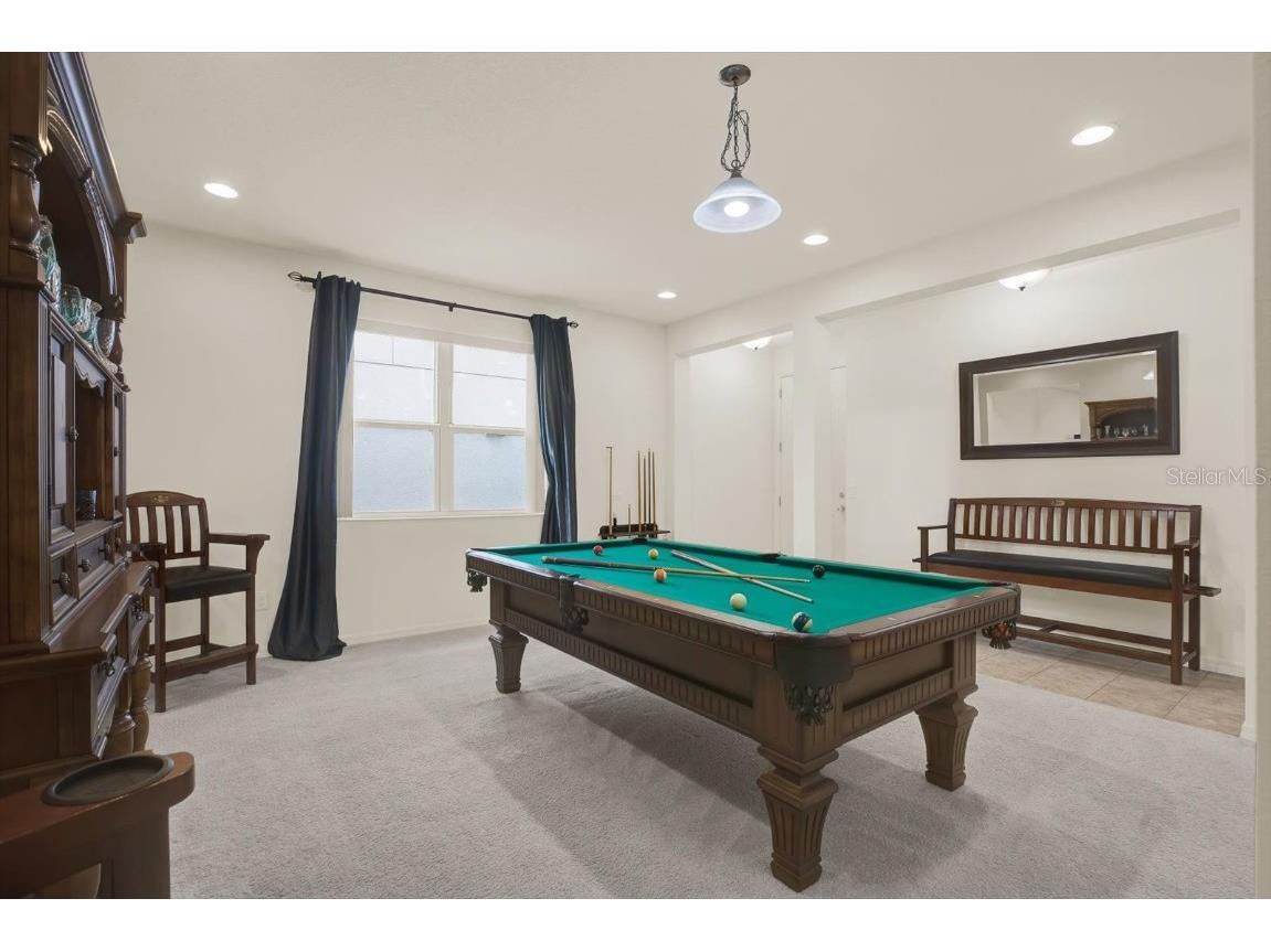 11529 Luckygem Drive Riverview FL 33579 TB8440379 image34