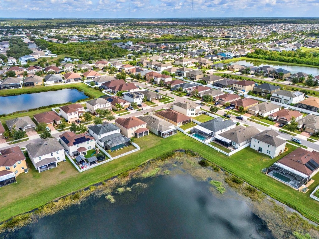 11529 Luckygem Drive Riverview FL 33579 TB8440379 image50