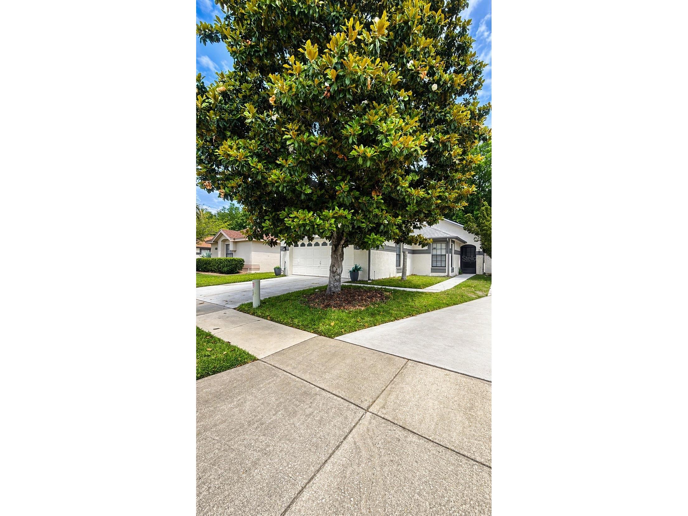 11529 Pumpkin Seed Court Orlando FL 32821 O6401609 image3
