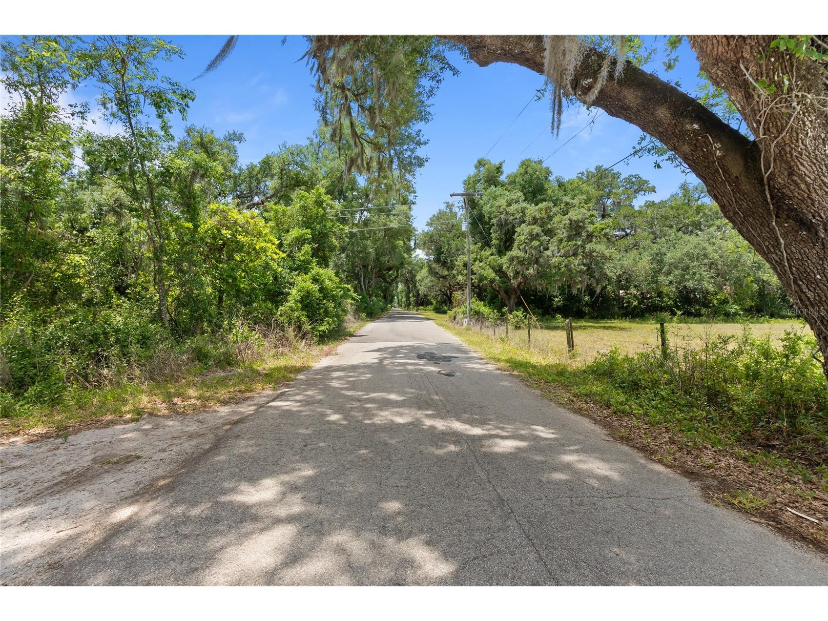 1153 Cr 722 Webster FL 33597 G5112182 image2
