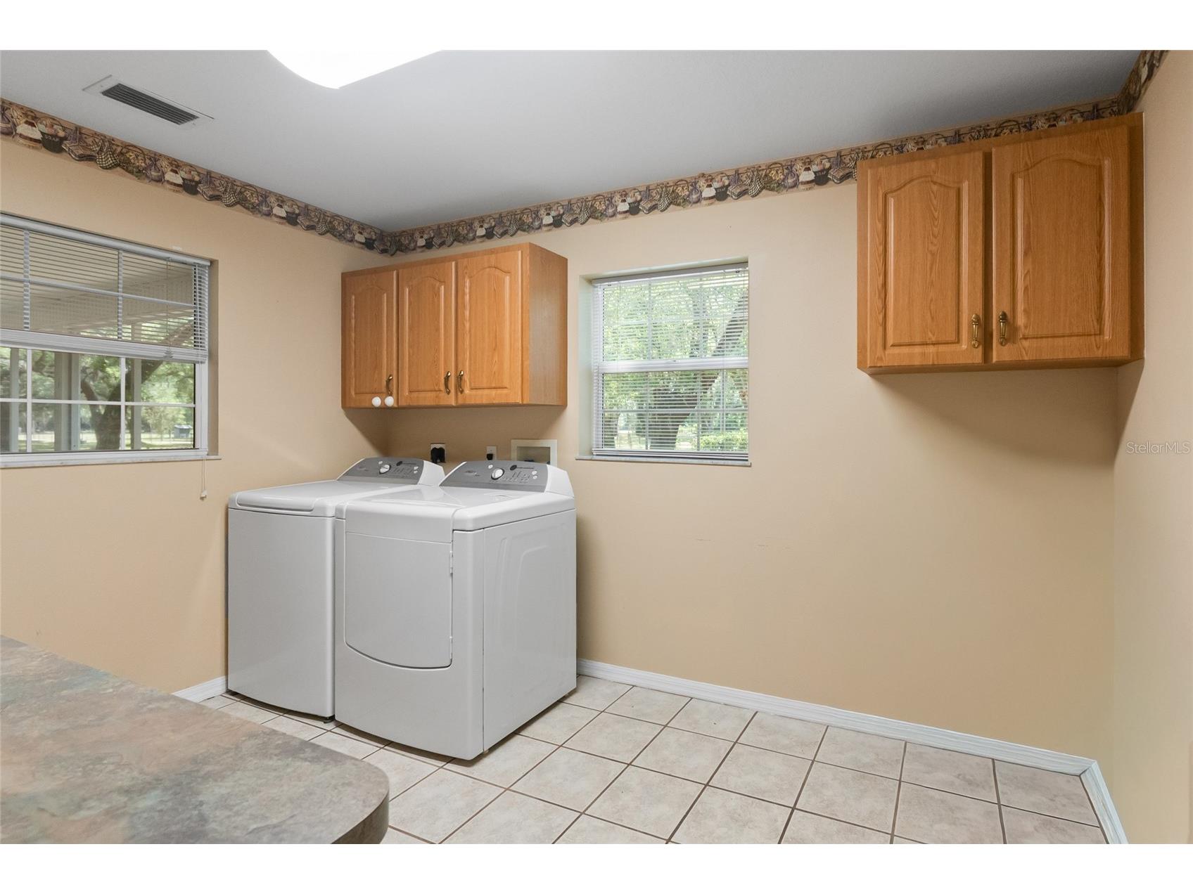 1153 Cr 722 Webster FL 33597 G5112182 image30