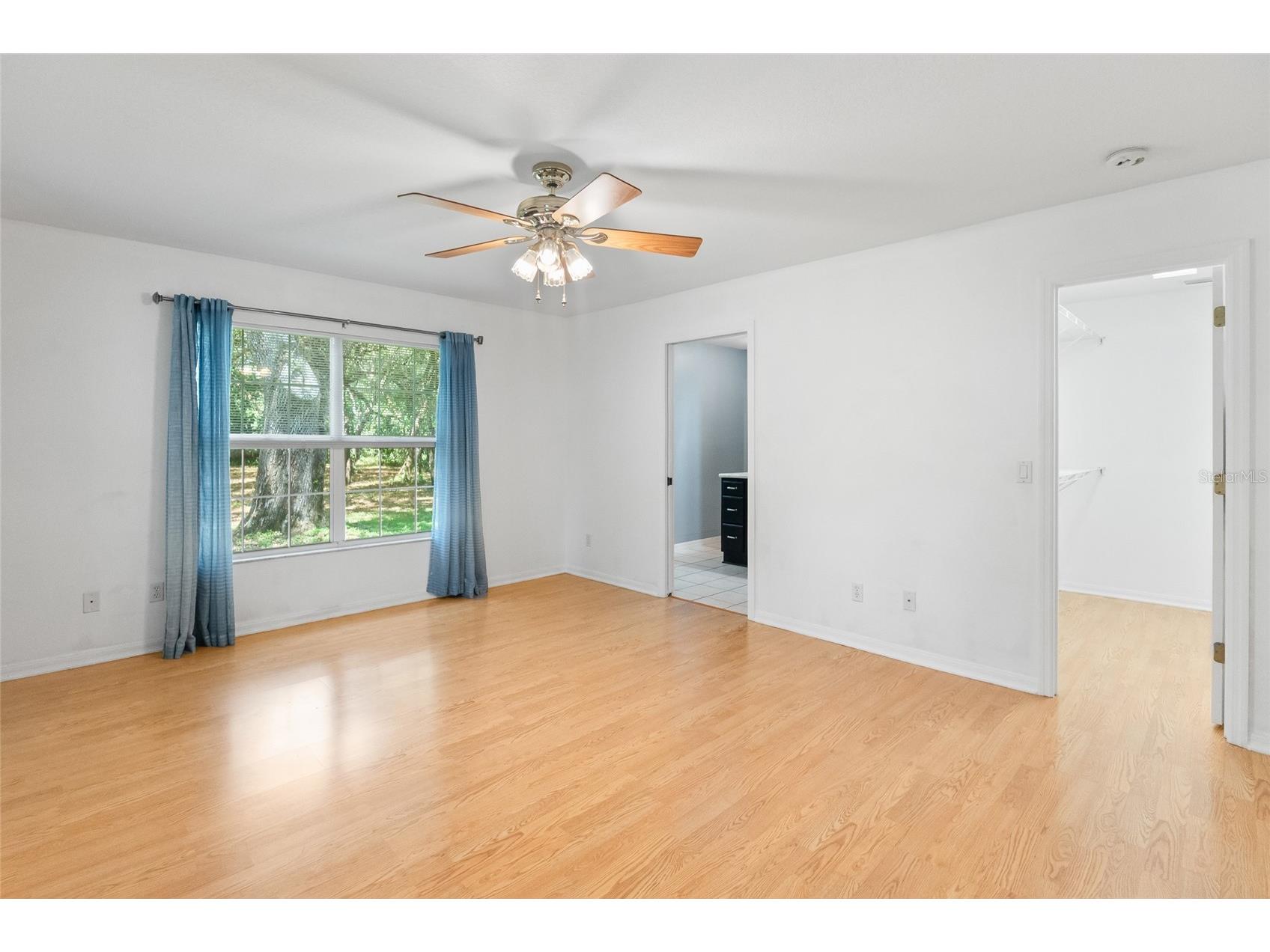 1153 Cr 722 Webster FL 33597 G5112182 image35