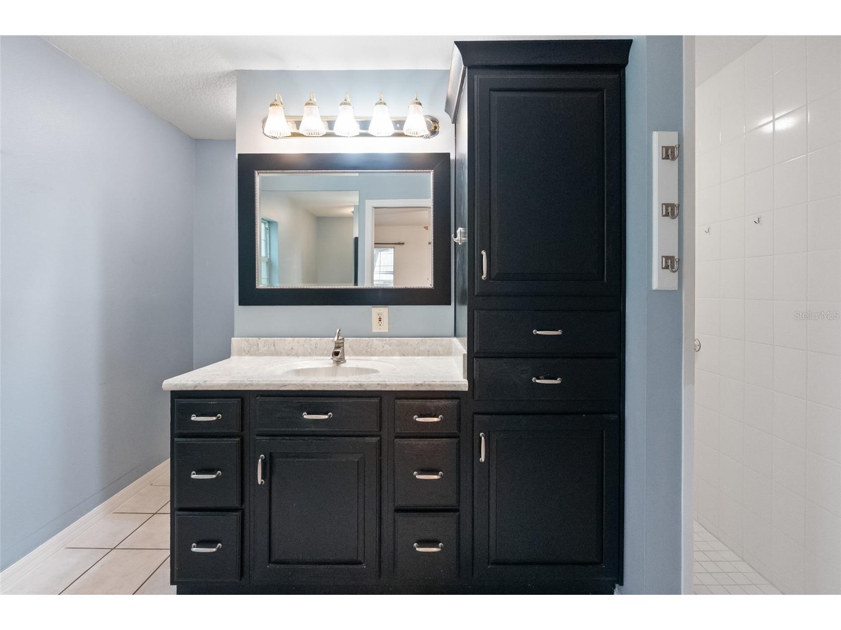 1153 Cr 722 Webster FL 33597 G5112182 image38