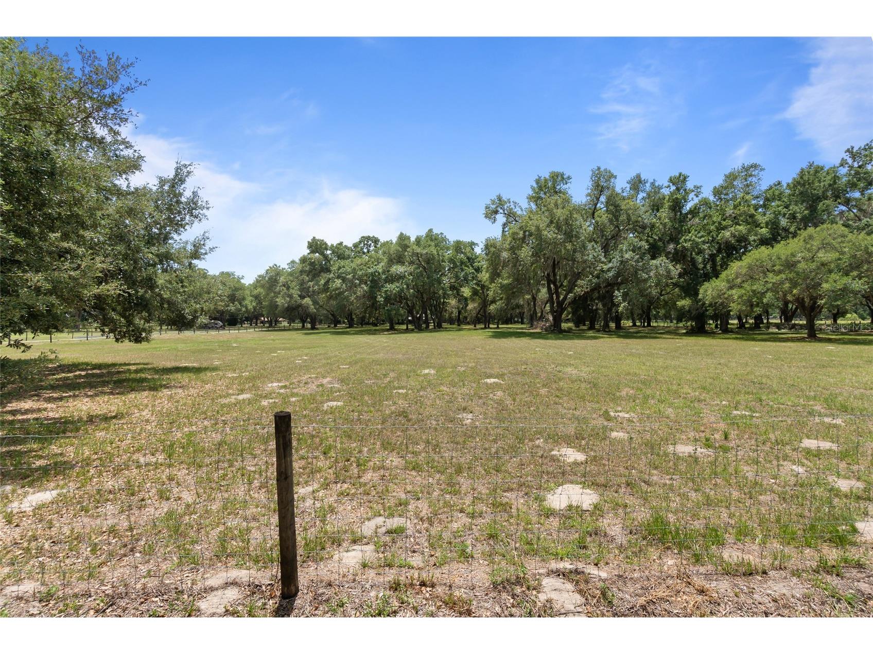 1153 Cr 722 Webster FL 33597 G5112182 image5