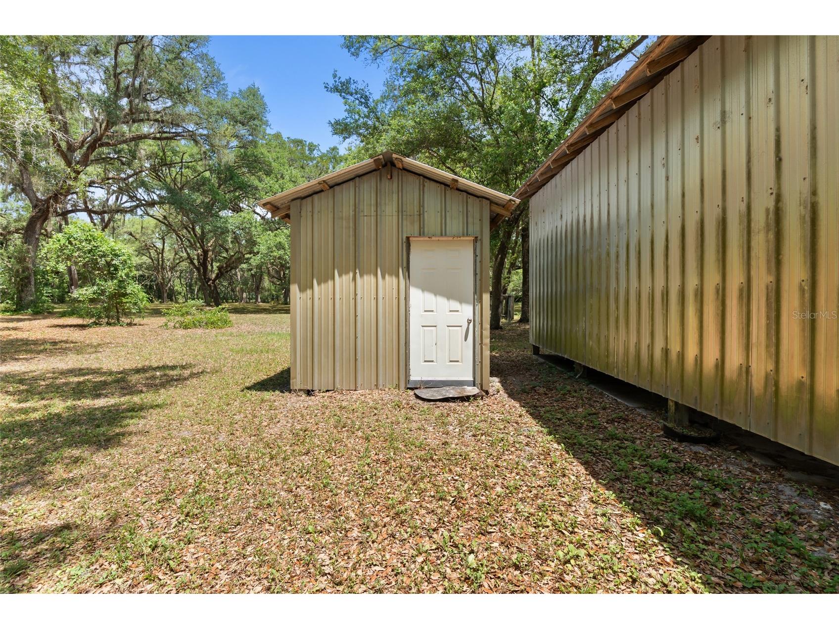 1153 Cr 722 Webster FL 33597 G5112182 image53