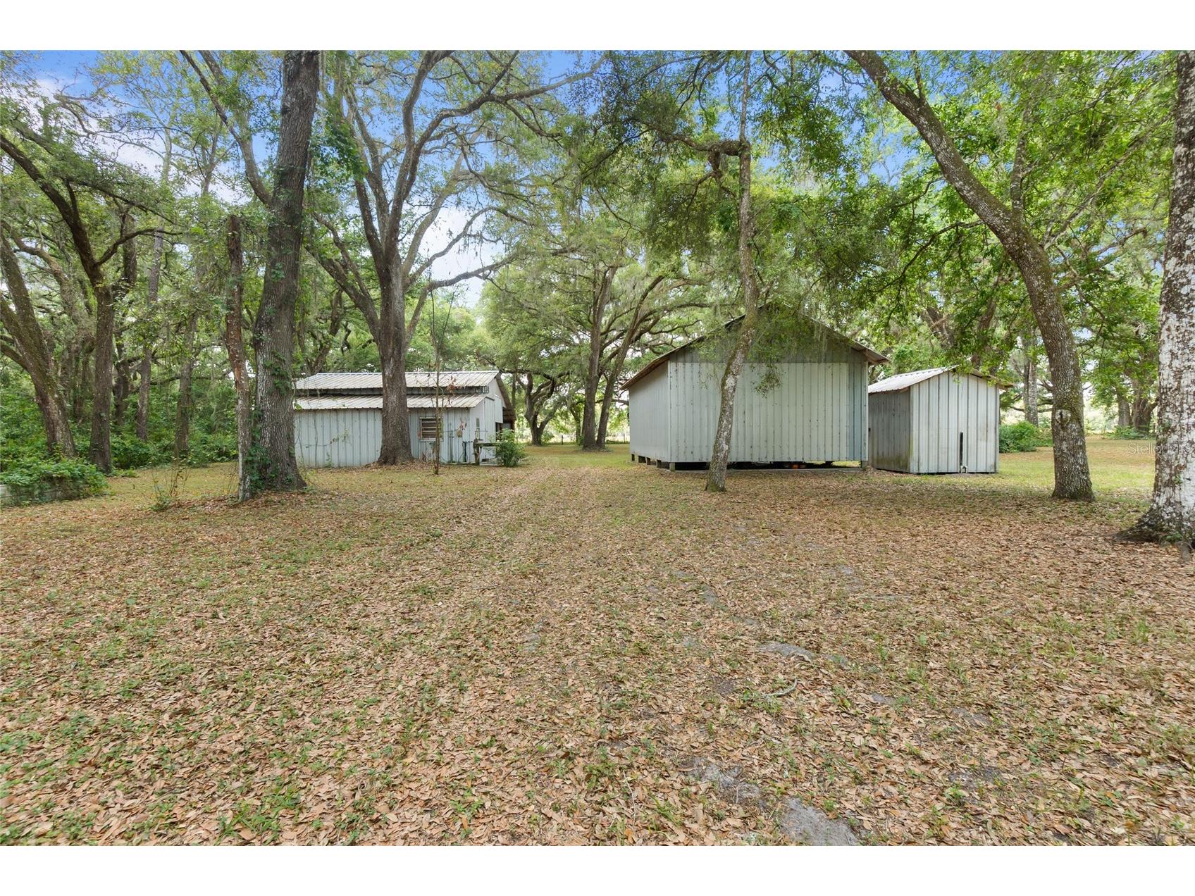 1153 Cr 722 Webster FL 33597 G5112182 image62