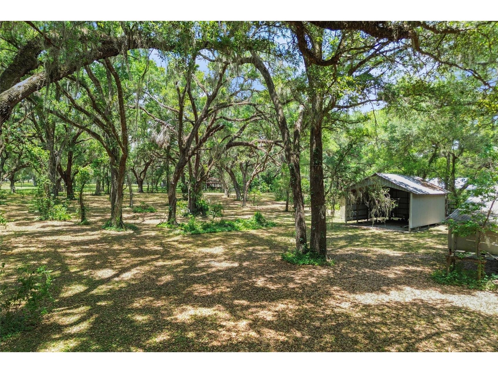 1153 Cr 722 Webster FL 33597 G5112182 image65