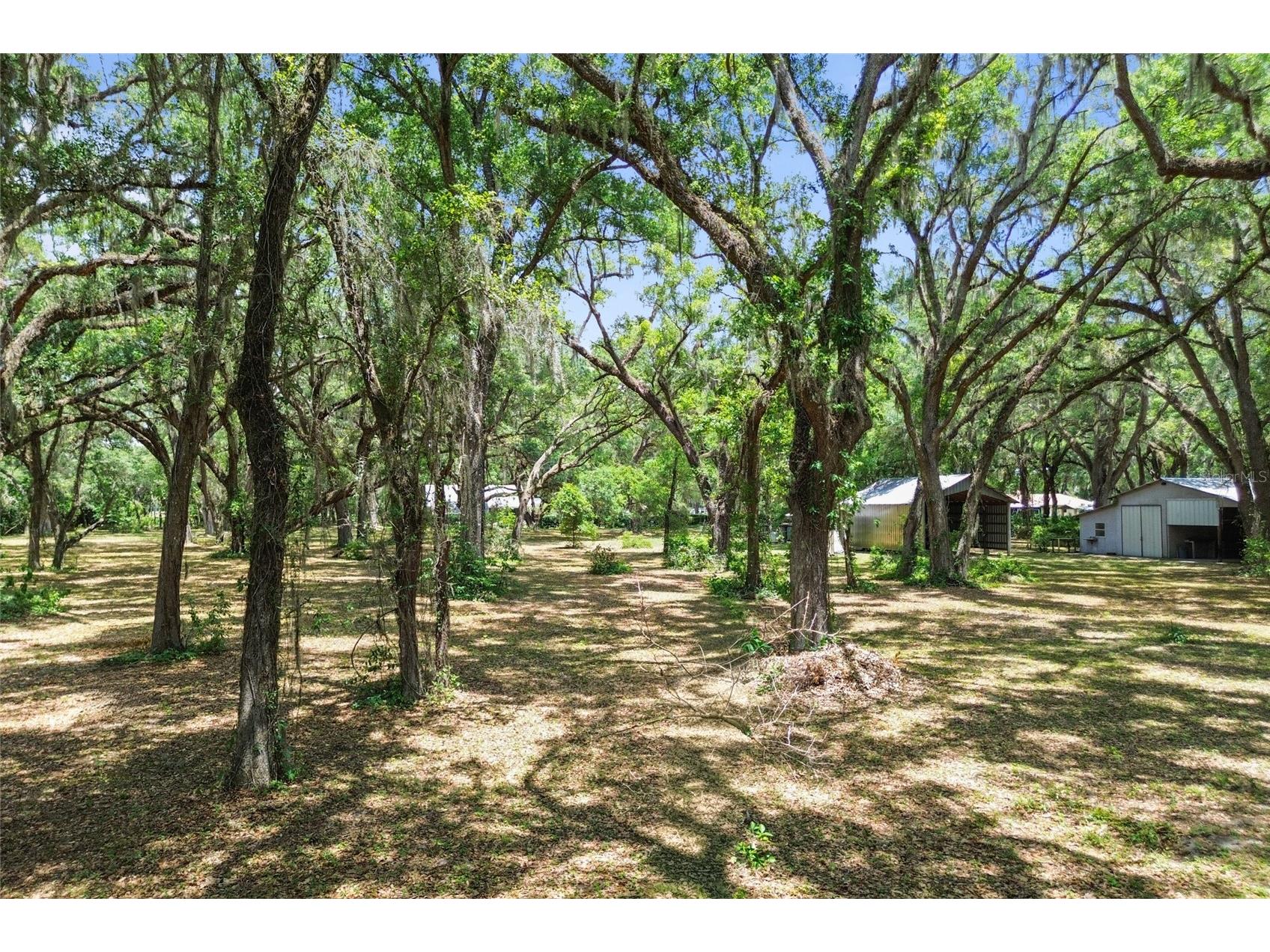 1153 Cr 722 Webster FL 33597 G5112182 image67