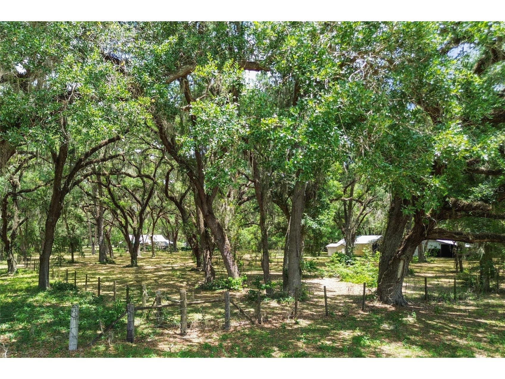 1153 Cr 722 Webster FL 33597 G5112182 image68