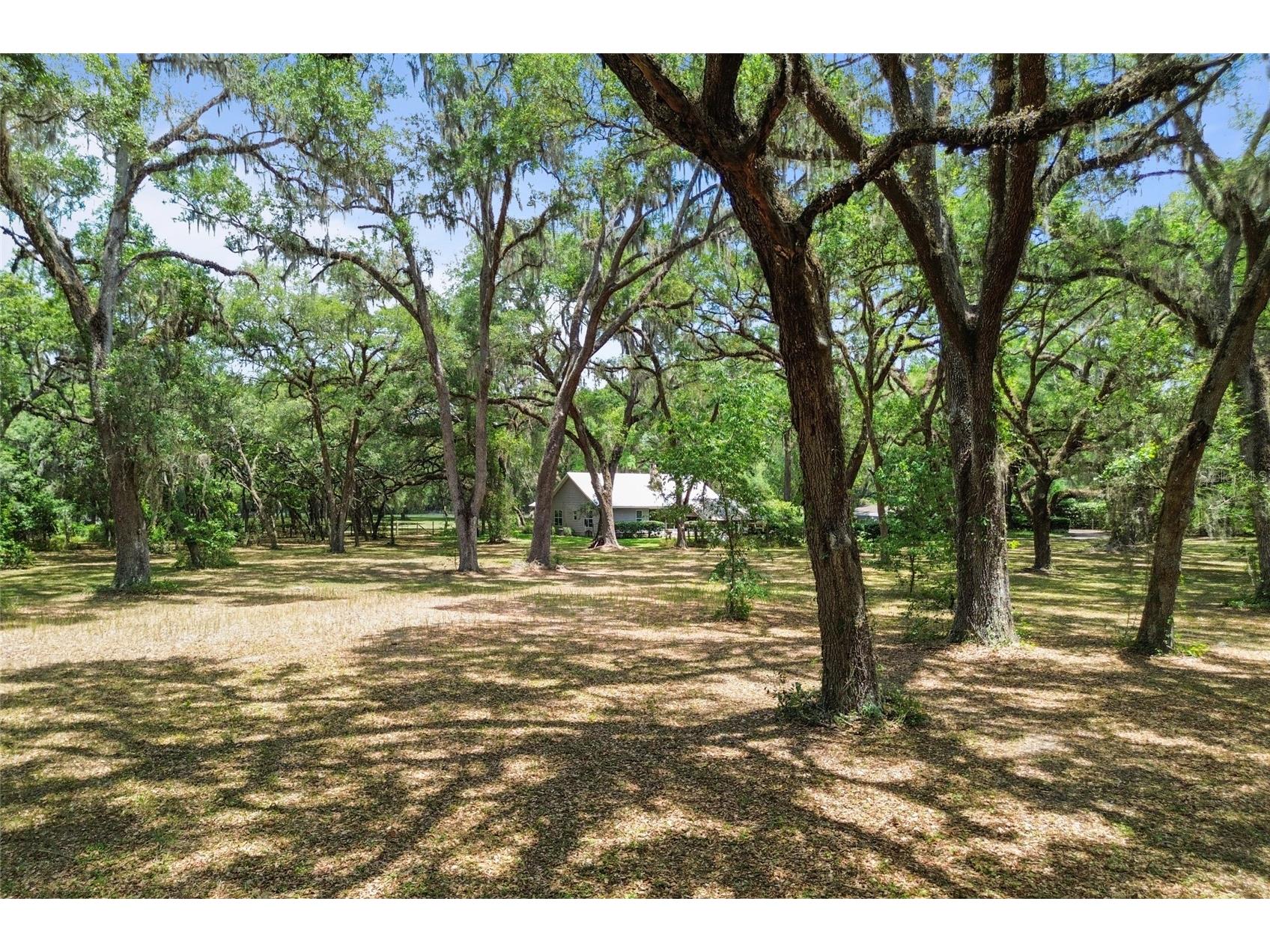 1153 Cr 722 Webster FL 33597 G5112182 image69