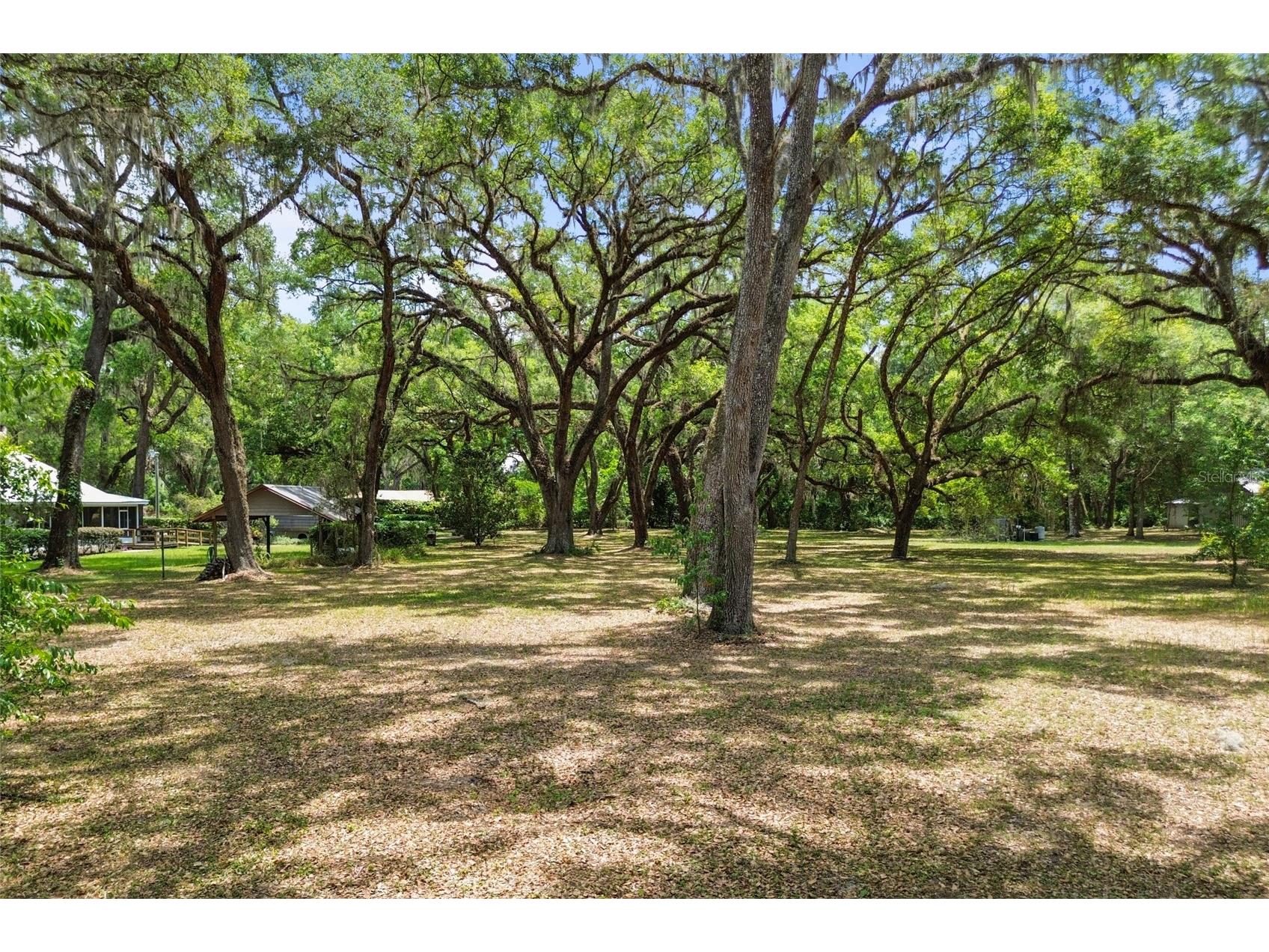 1153 Cr 722 Webster FL 33597 G5112182 image70