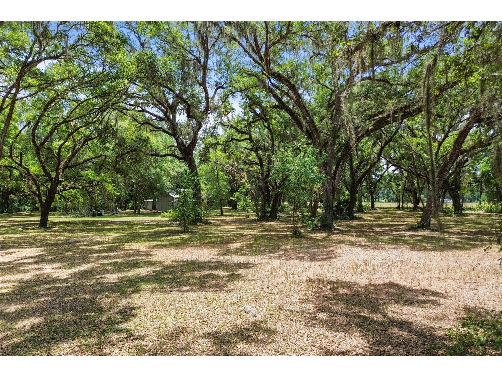 1153 Cr 722 Webster FL 33597 G5112182 image71
