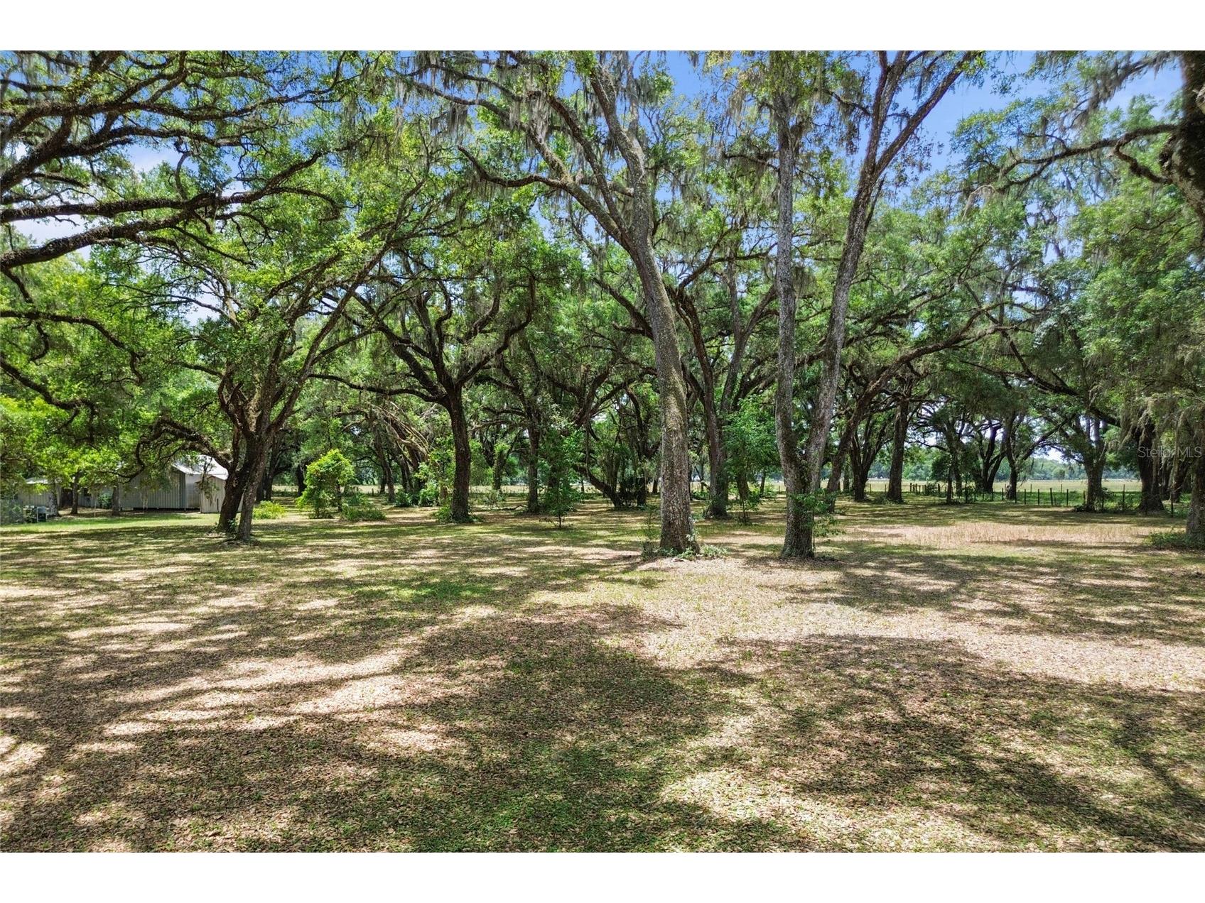 1153 Cr 722 Webster FL 33597 G5112182 image72
