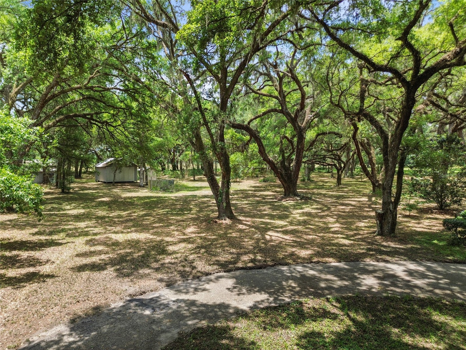 1153 Cr 722 Webster FL 33597 G5112182 image73