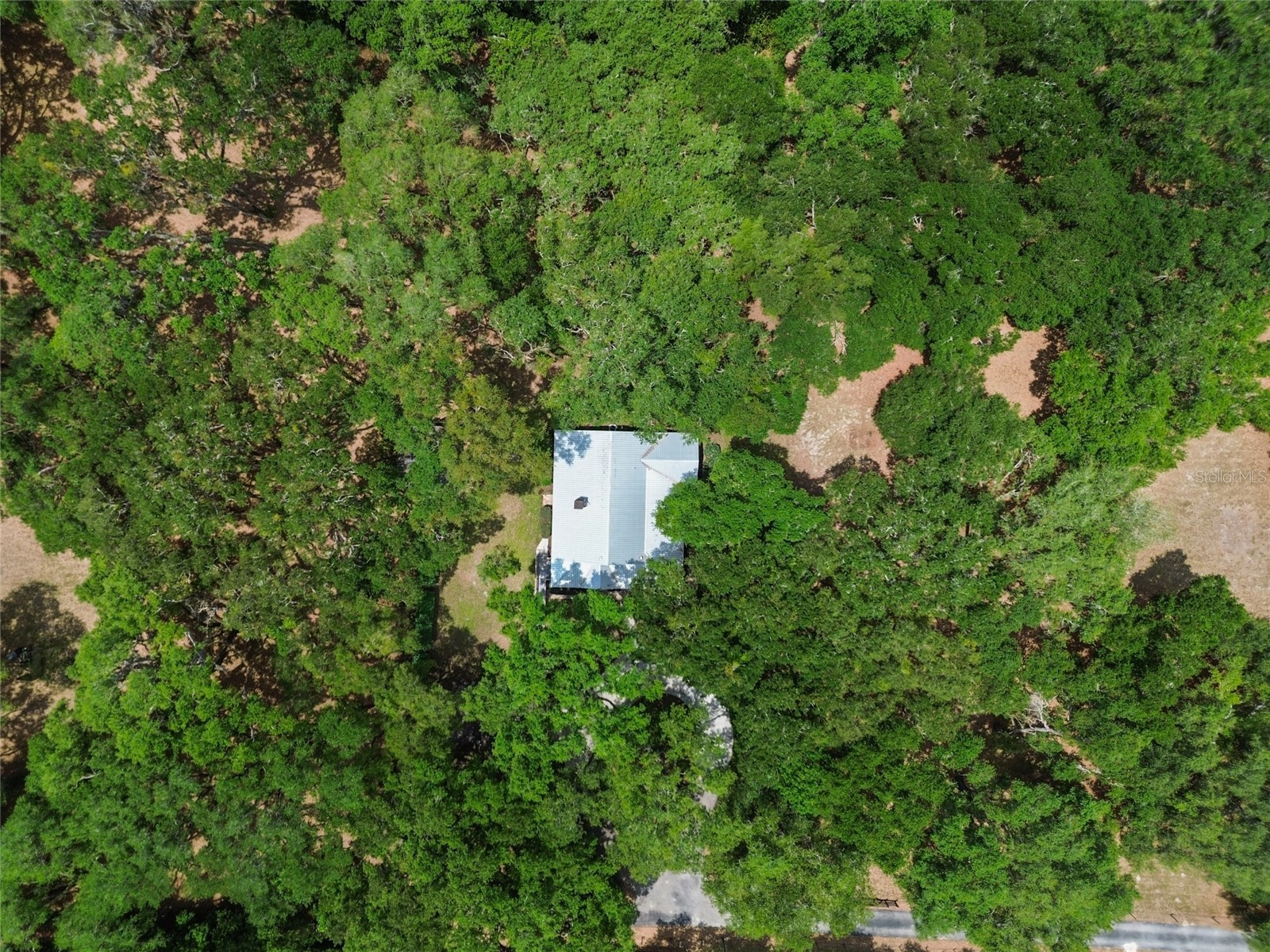 1153 Cr 722 Webster FL 33597 G5112182 image74