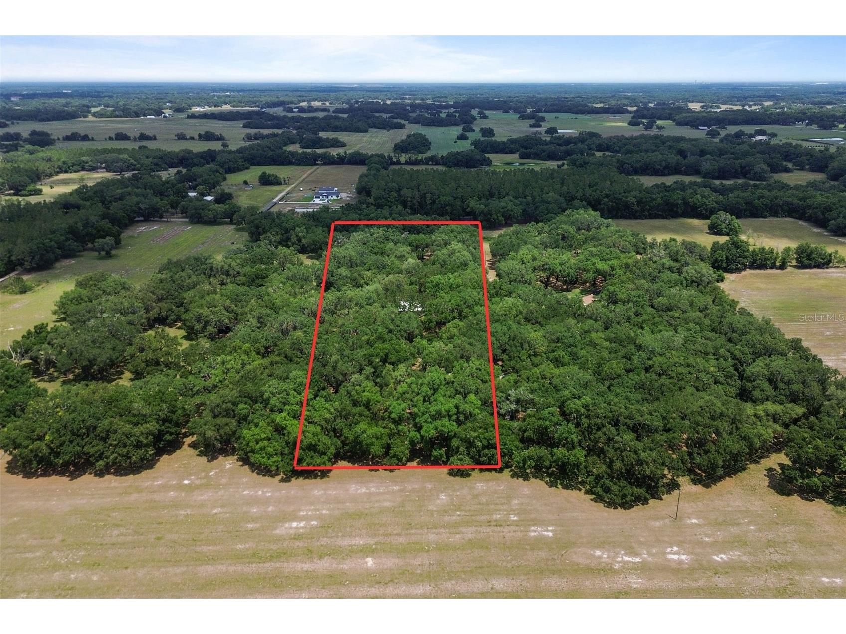 1153 Cr 722 Webster FL 33597 G5112182 image76