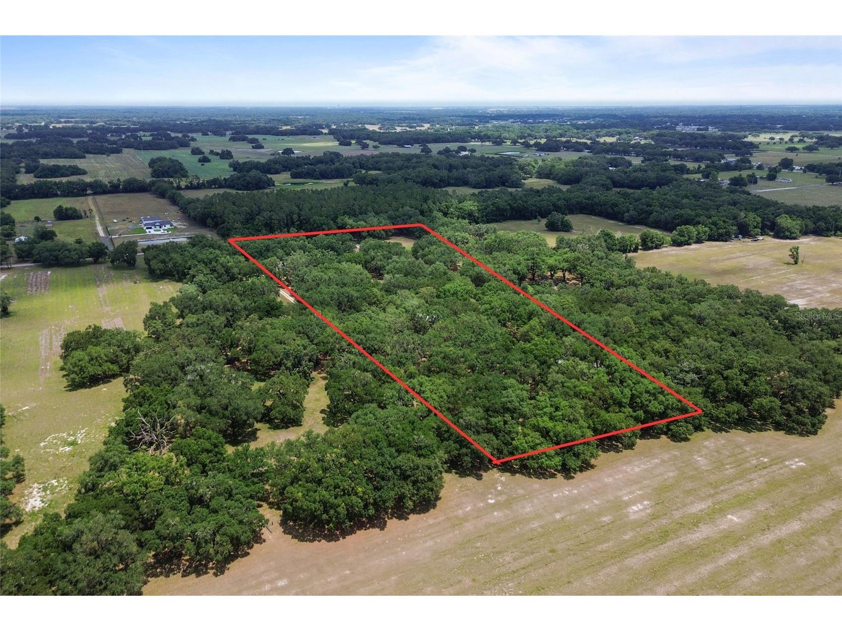 1153 Cr 722 Webster FL 33597 G5112182 image77