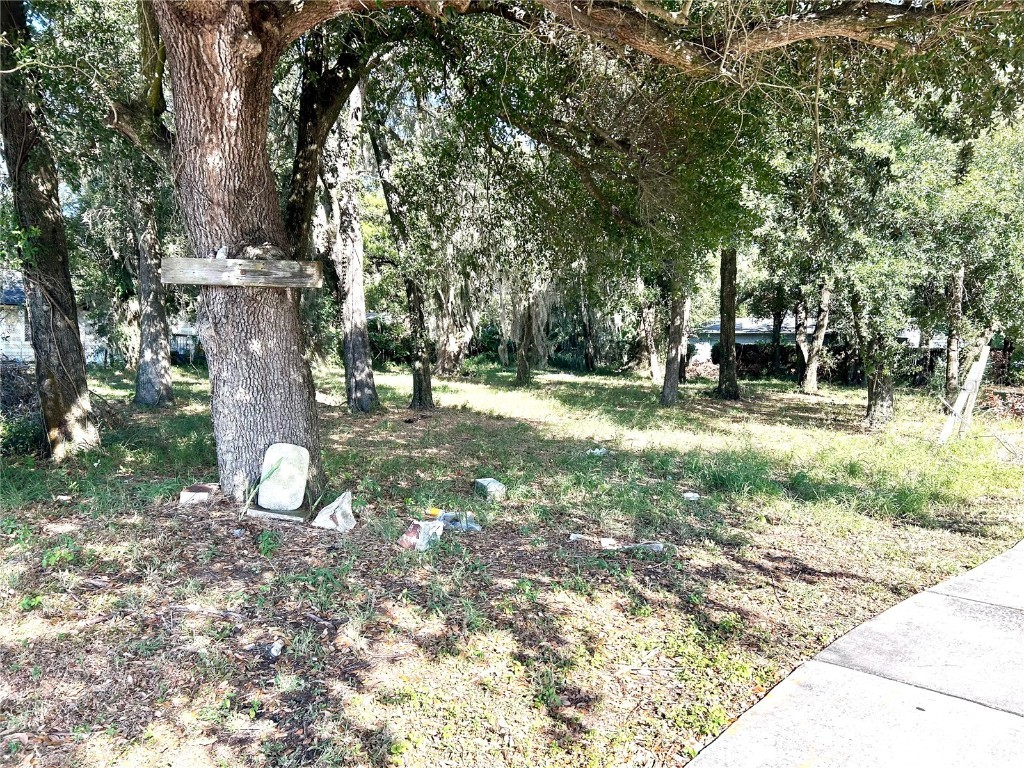 1153 Holden Avenue Orlando FL 32839 O6363766 image2