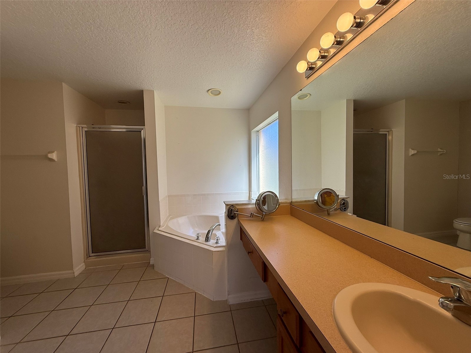 1153 Solana Circle Davenport FL 33897 L4959767 image16
