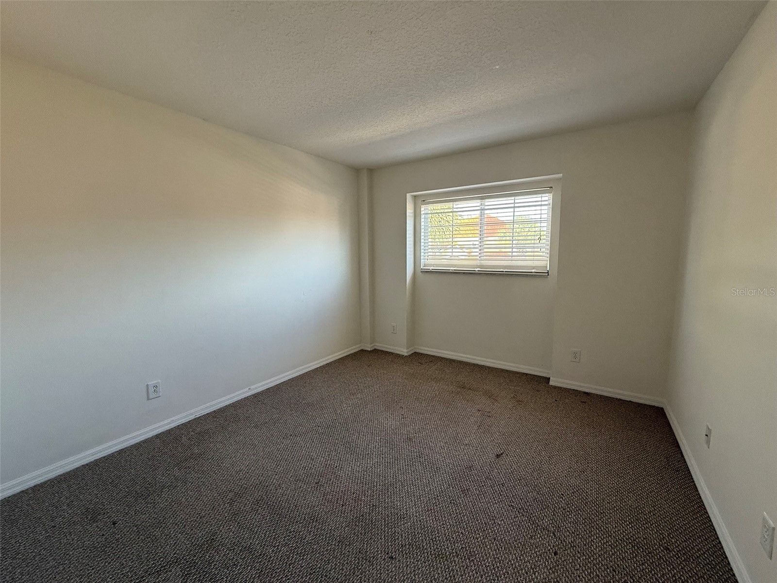1153 Solana Circle Davenport FL 33897 L4959767 image18