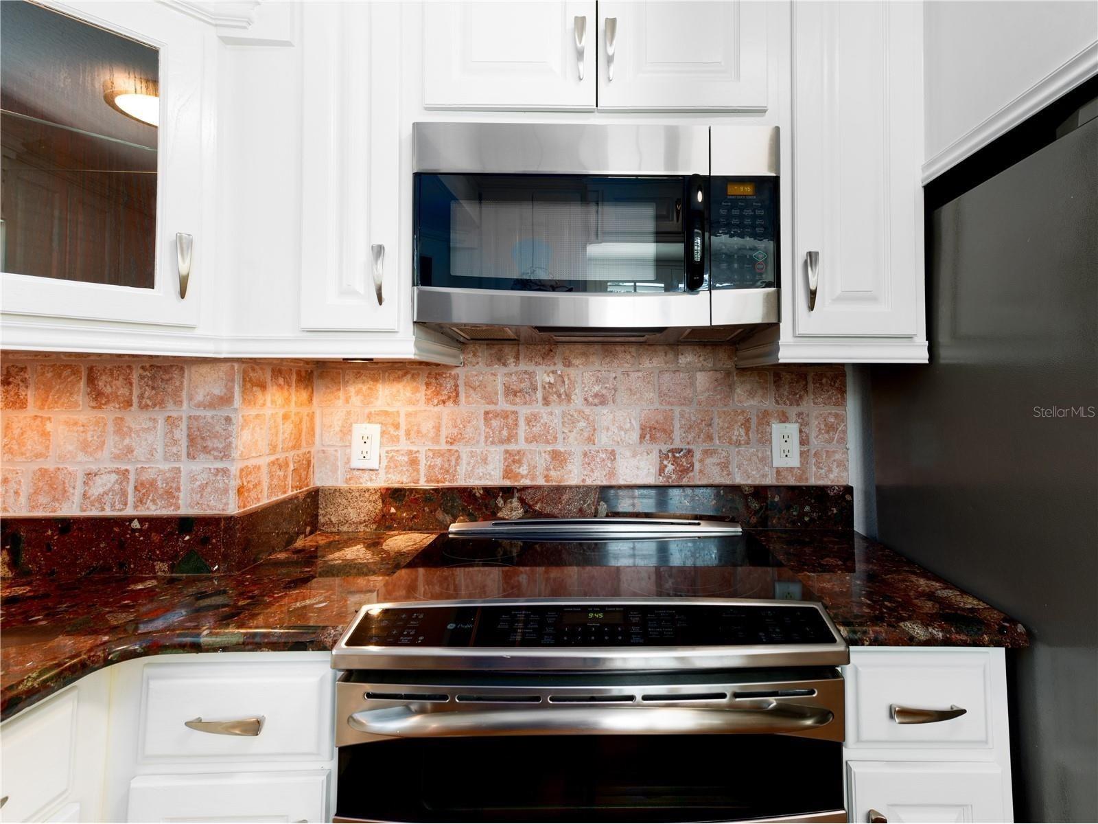 1153 Tookes Road Tarpon Springs FL 34689 - LAKE TARPON TB8475354 image7