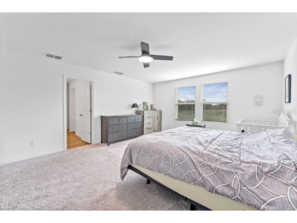 11530 Adam Lee Way Dade City FL 33525 G5105101 image19