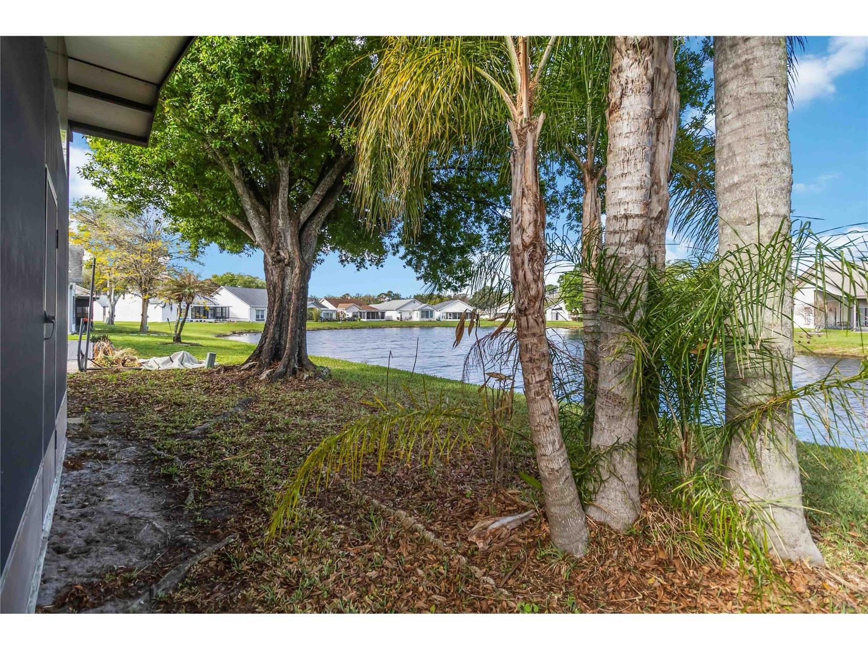 11530 Pumpkin Seed Court Orlando FL 32821 O6392392 image22