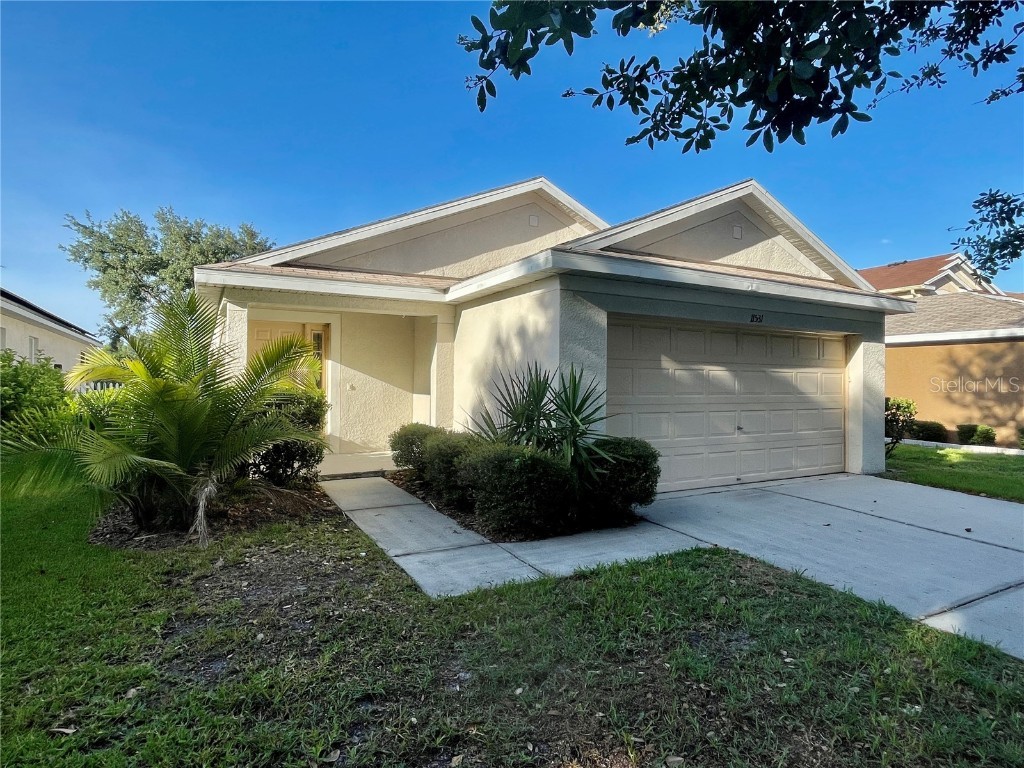 11531 Hammocks Glade Drive Riverview FL 33569 T3453001 image1