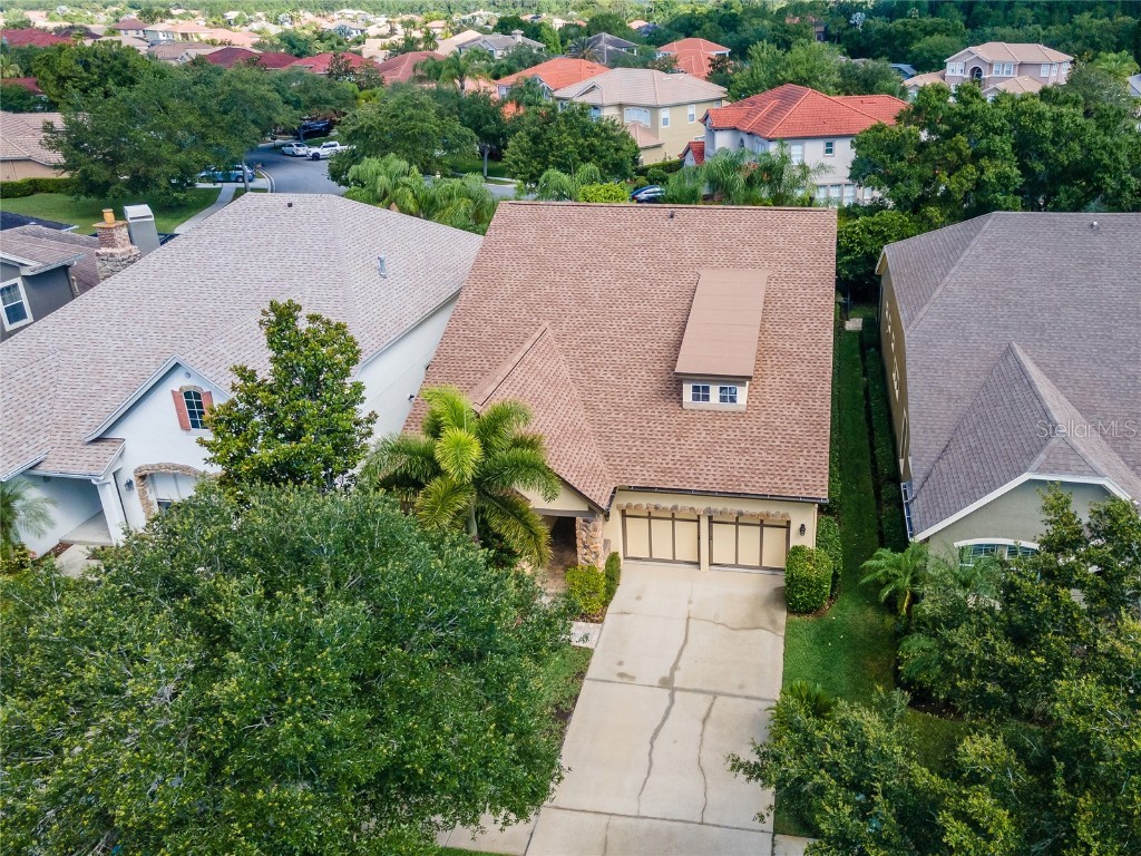 11531 Meridian Point Drive Tampa FL 33626 T3448441 image1