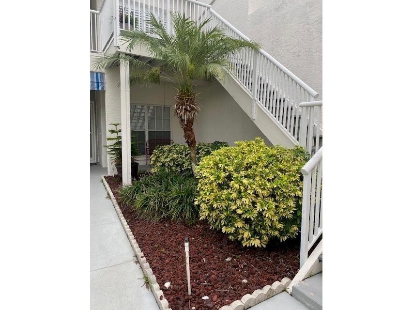 11531 Shipwatch Drive #1033 Largo FL 33774 TB8409359 image1