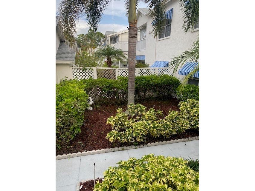 11531 Shipwatch Drive #1033 Largo FL 33774 TB8409359 image16