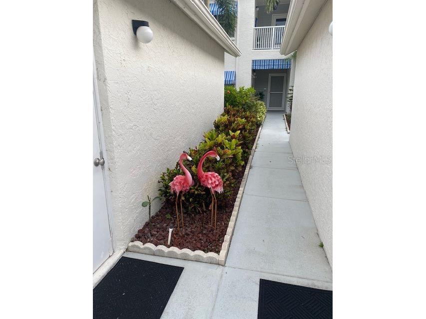 11531 Shipwatch Drive #1033 Largo FL 33774 TB8409359 image17