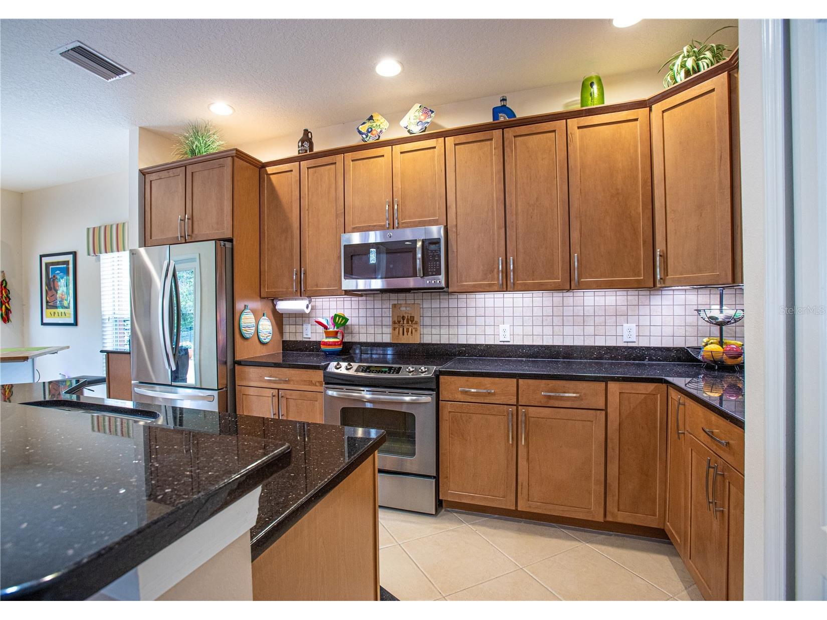 11532 Bathgate Court New Port Richey FL 34654 - Moon Lake TB8495952 image18