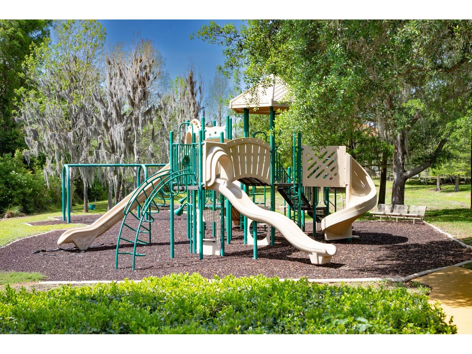 11532 Bathgate Court New Port Richey FL 34654 - Moon Lake TB8495952 image50