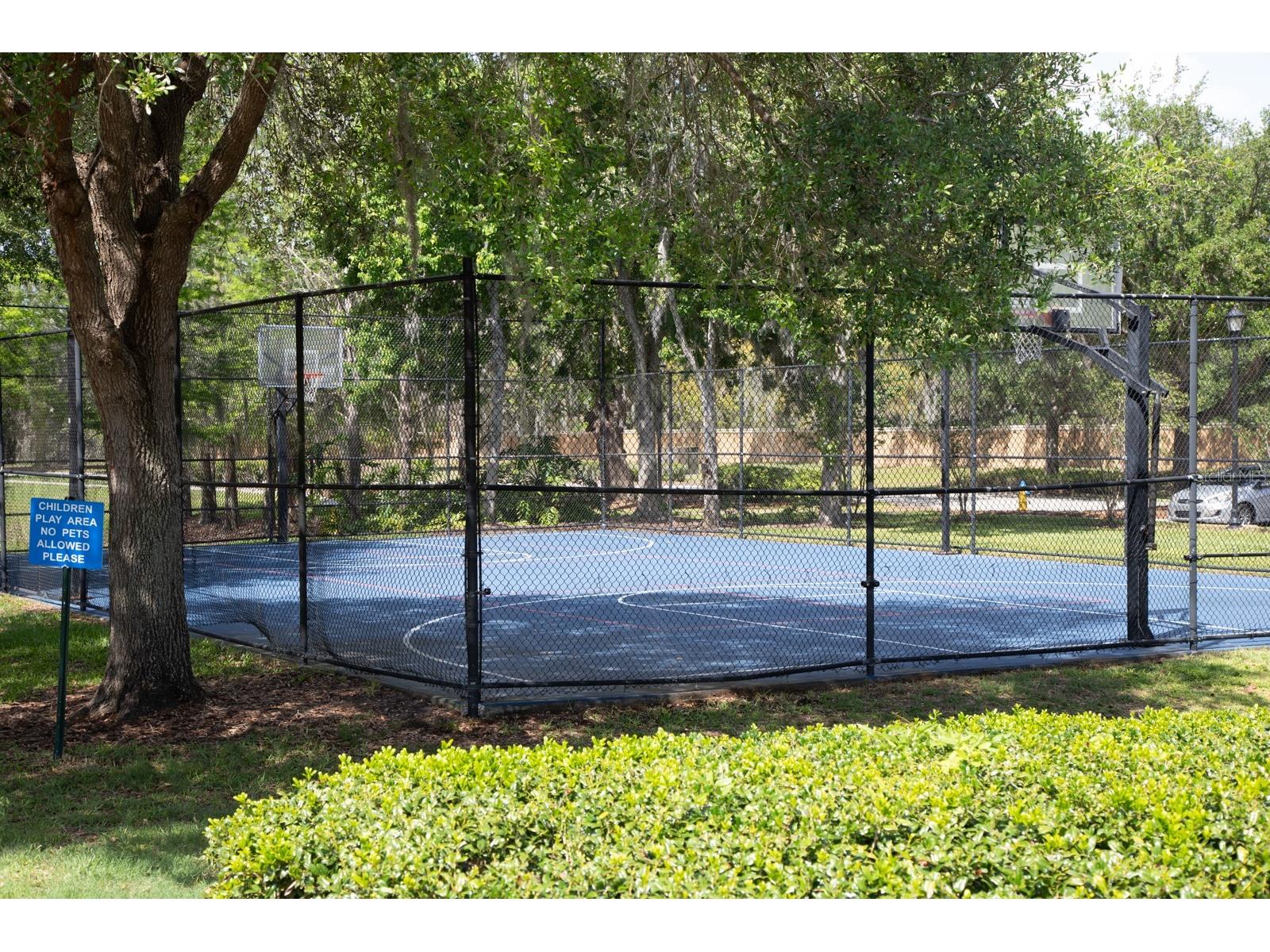 11532 Bathgate Court New Port Richey FL 34654 - Moon Lake TB8495952 image51