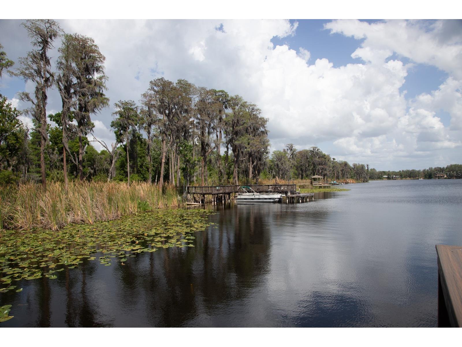 11532 Bathgate Court New Port Richey FL 34654 - Moon Lake TB8495952 image60